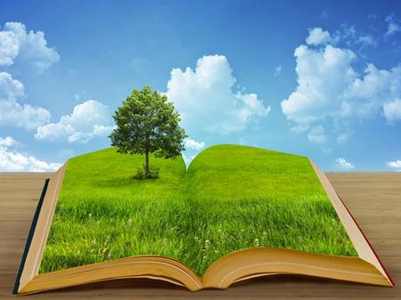 1451547380214692.jpeg mp29529507_1440655467893_1_th.jpeg