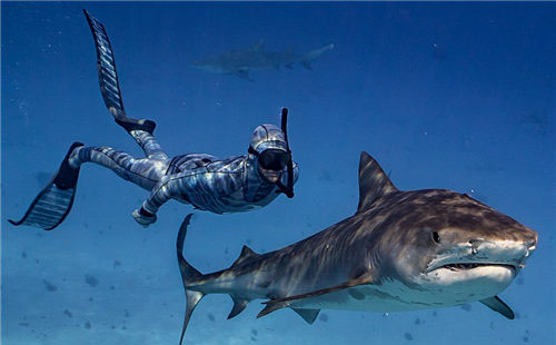 1468575474345276.jpg 1.jpg