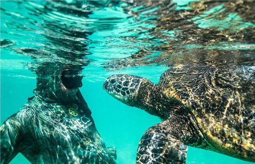 1468575541136617.jpg 2.jpg