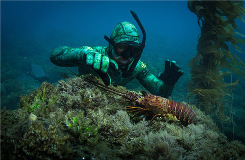 1468575567801690.jpg 3.jpg