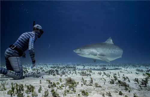 1468575589234124.jpg 4.jpg