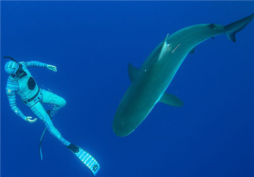 1468575621284438.jpg 5.jpg