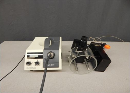 1478679784171020.png 2.33.png