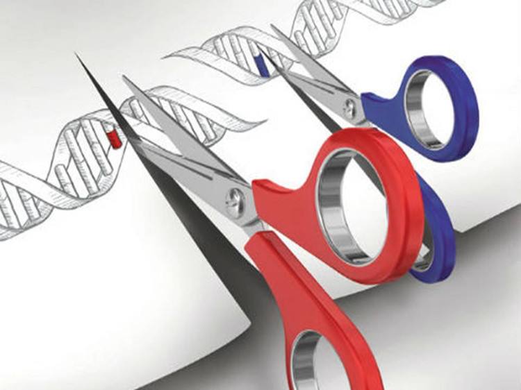 1487235739528226.jpg 1.jpg