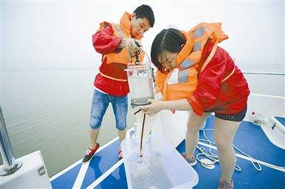 1495789671330891.jpg 1.jpg