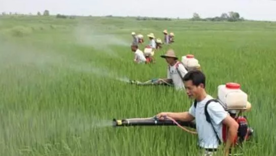 1496388761159759.png 1.png