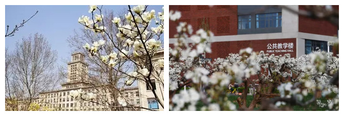 未命名_副本.jpg 未命名_副本.jpg