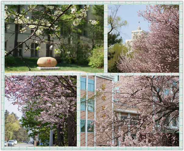 林大標-new(red)_副本.jpg 林大標-new(red)_副本.jpg