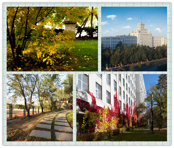 林大標-new(red)_副本.jpg 林大標-new(red)_副本.jpg