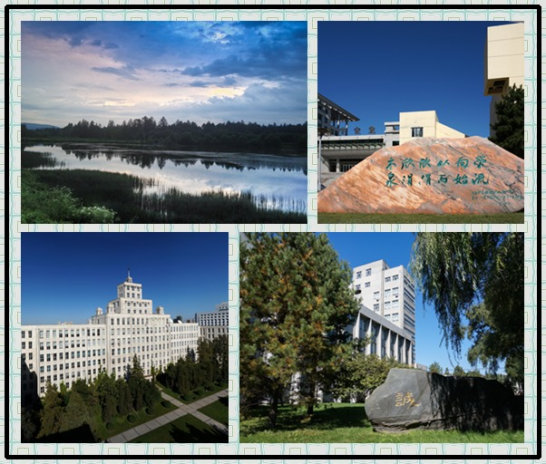 林大標-new(red)_副本.png 林大標-new(red)_副本.png