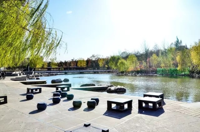 6403.webp.jpg 6403.webp.jpg