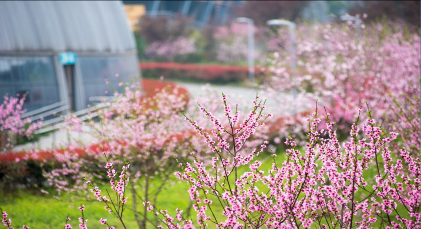 圖片1.png 圖片1.png