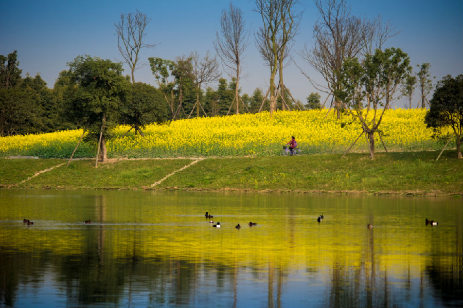 圖片3.png 圖片3.png