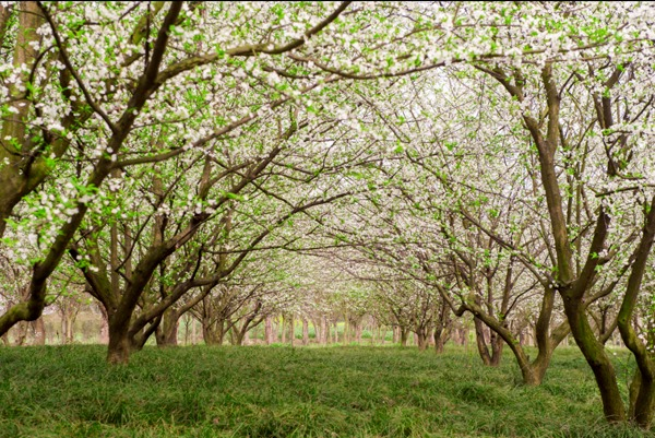 圖片2.png 圖片2.png