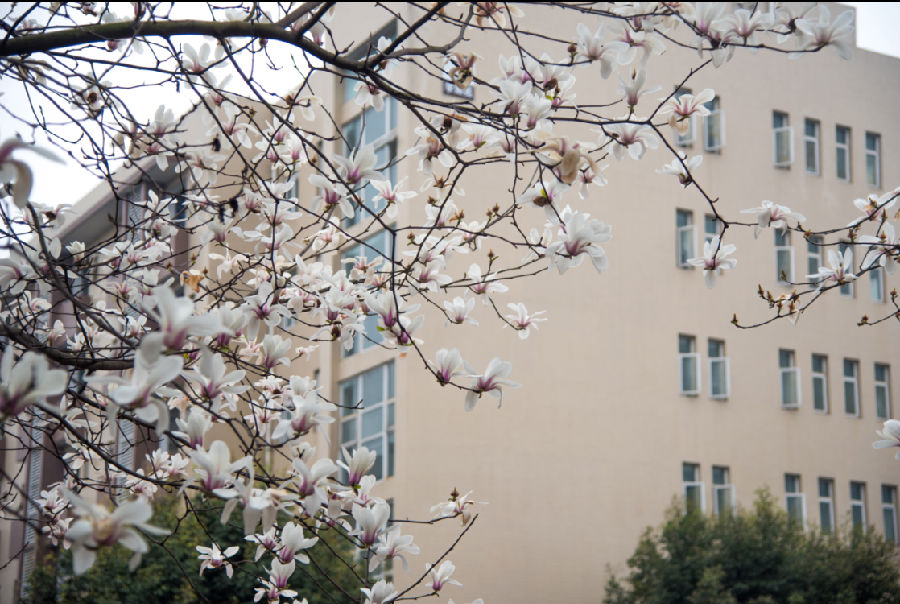 圖片4.png 圖片4.png