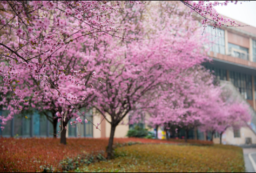 圖片5.png 圖片5.png