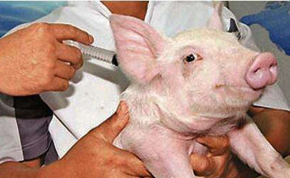 1522390186807140.jpg 17.jpg