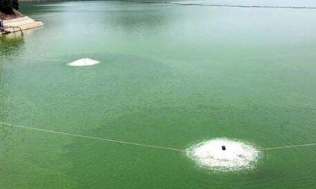 揚州大學研發(fā)出破壞藍藻水泡的“節(jié)育”新技術 揚州大學研發(fā)出破壞藍藻水泡的“節(jié)育”新技術