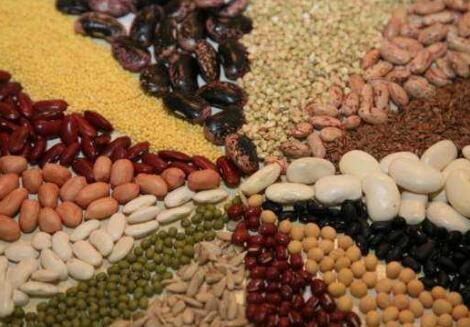 儀器人：有機食品、綠色食品、無公害食品的關系和區別