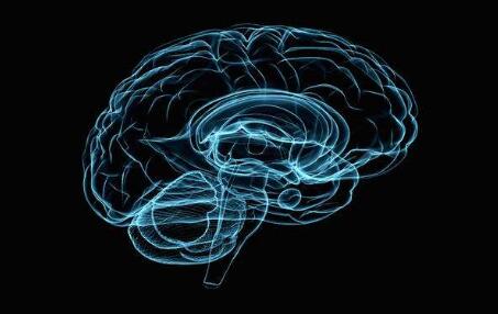 重大科研儀器設備研制專項——深部腦刺激與神經調控技術 重大科研儀器設備研制專項——深部腦刺激與神經調控技術