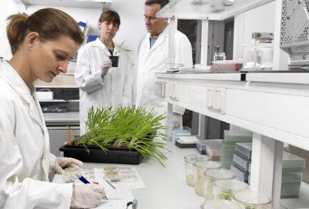 中俄攜手,將在俄建最大生物技術(shù)實(shí)驗(yàn)室 中俄攜手,將在俄建最大生物技術(shù)實(shí)驗(yàn)室