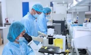 1539918412944714.jpg zd.jpg