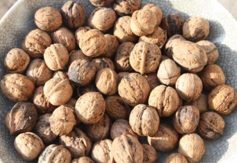 核桃居然可以制造精密科學(xué)儀器 核桃居然可以制造精密科學(xué)儀器