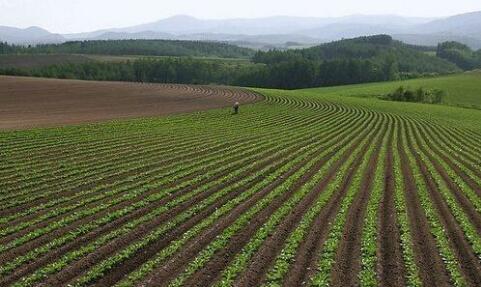 湖北推動科研成果從實驗室到車間、田間成果轉化 湖北推動科研成果從實驗室到車間、田間成果轉化