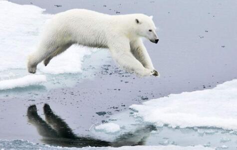 海洋儀器助力更精準把脈海洋變暖現象 海洋儀器助力更精準把脈海洋變暖現象