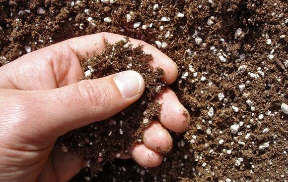 農業(yè)實驗室?guī)追N常備土壤檢測儀器介紹 農業(yè)實驗室?guī)追N常備土壤檢測儀器介紹