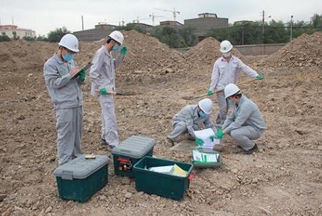 袁直:土壤修復不能長期停留在實驗室水平 袁直:土壤修復不能長期停留在實驗室水平