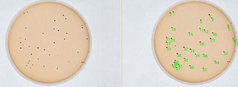 教您怎么正確的操作全自動菌落計數器 教您怎么正確的操作全自動菌落計數器