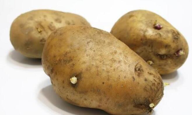 馬鈴薯發芽了為何不能吃?檢測中心儀器告訴你答案 馬鈴薯發芽了為何不能吃?檢測中心儀器告訴你答案