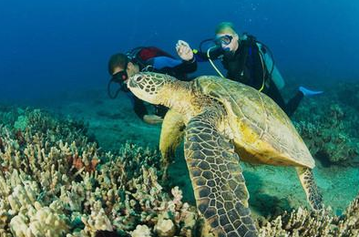 科學儀器數(shù)據(jù)顯示海洋氧氣減少流失 科學儀器數(shù)據(jù)顯示海洋氧氣減少流失