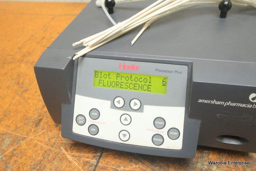 1576539614621192.jpg HOEFER 1.jpg