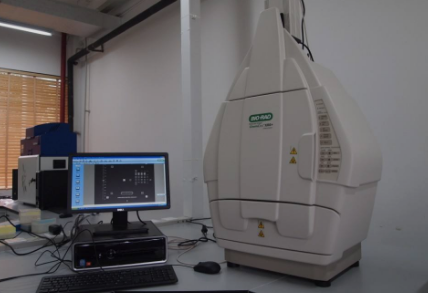 凝膠成像種類及操作過程