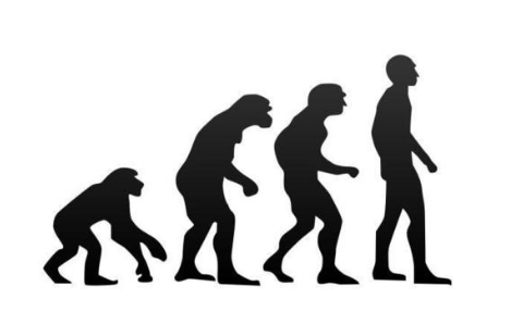 科學儀器探索人是怎么出現的？