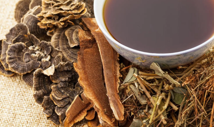 中藥國家重點實驗室獲批建立