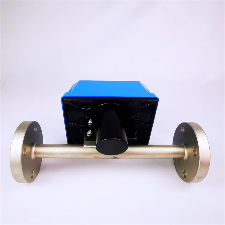 1666145151161009.jpg 金屬管轉(zhuǎn)子流量計 (6).jpg