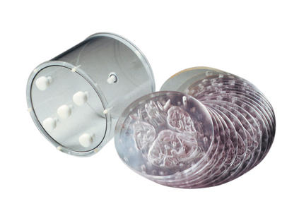 Hoffman 3-D腦模體,霍夫曼腦模體