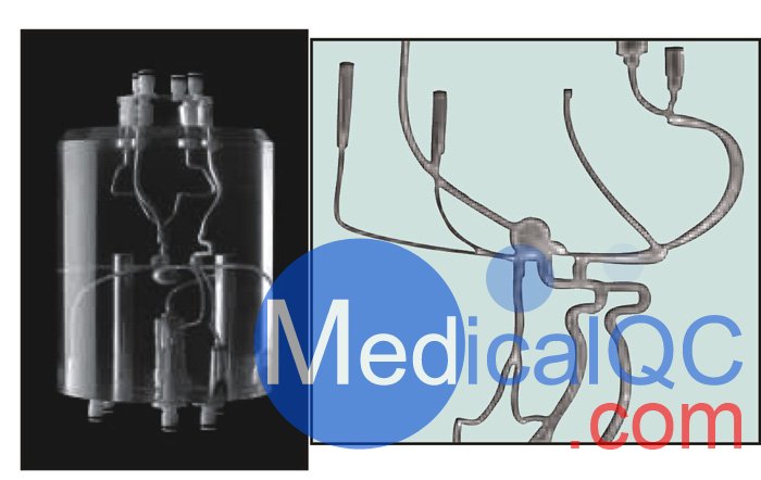 WEK-Blood顱內血管模體,顱內血流模體