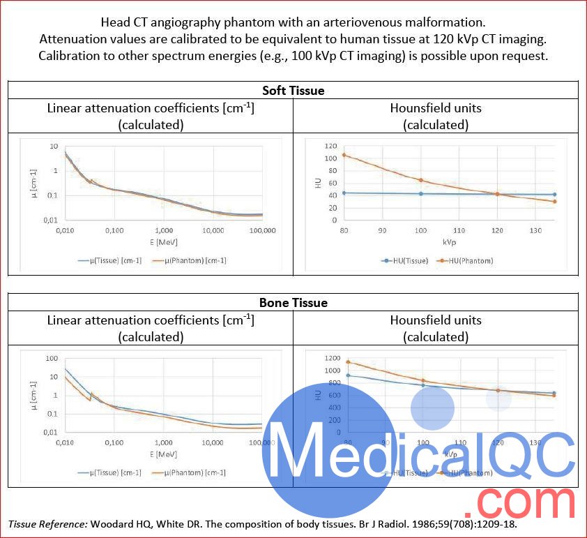 NLP1000頭頸模體,NLP1000頭部模體,NLP1000頭模