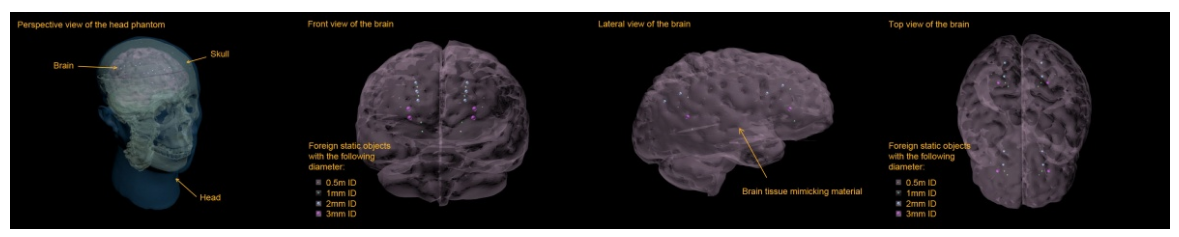 True phantom靜態成人人體頭部模體