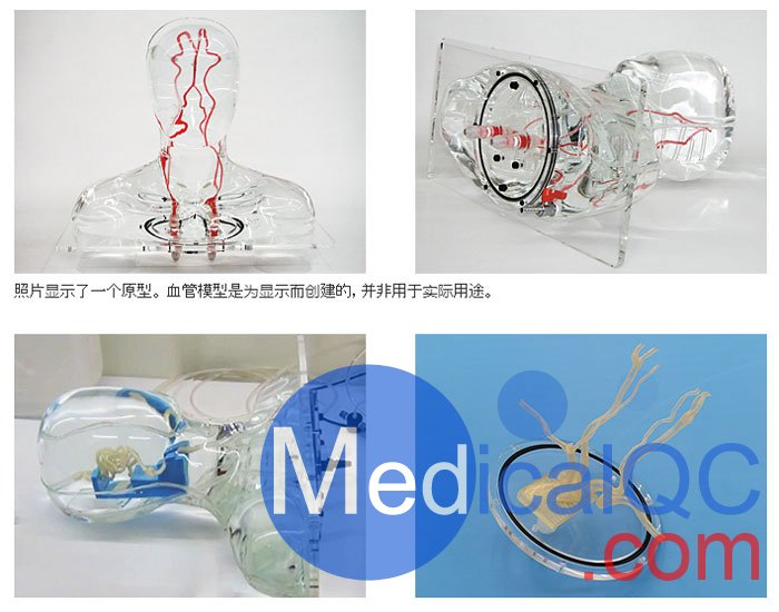 HB-1頭部血管模型,HB-1頭部體模,帶血管