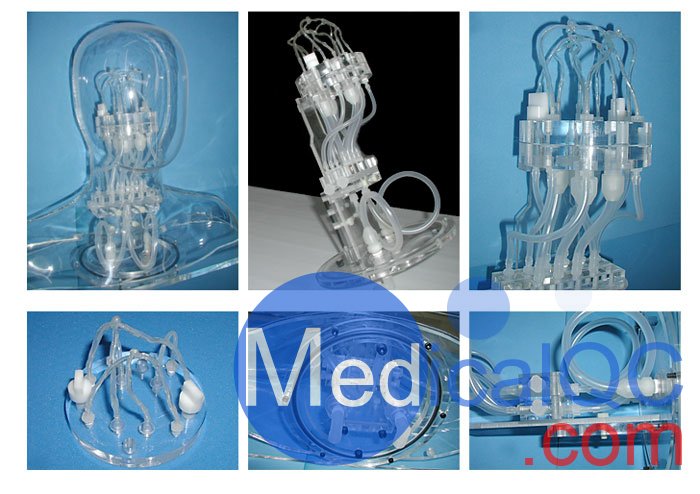 HB-1頭部血管模型,HB-1頭部體模,帶血管