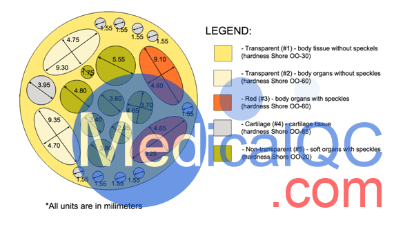 RT-C01大鼠模體，加拿大Truephantom RT-C01大鼠模體構(gòu)造